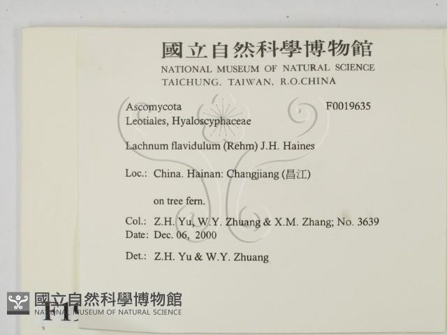 登錄號:F0019635藏品圖，第2張