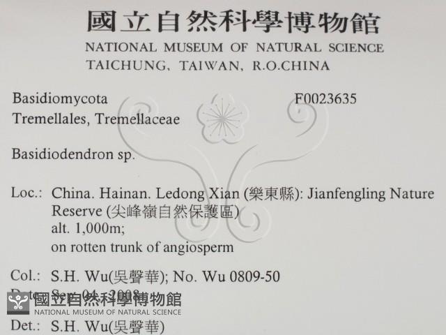 登錄號:F0023635藏品圖，第2張