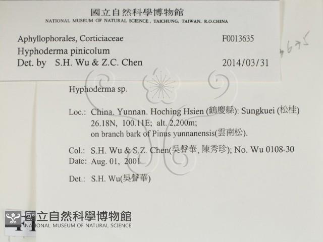 登錄號:F0013635藏品圖，第2張