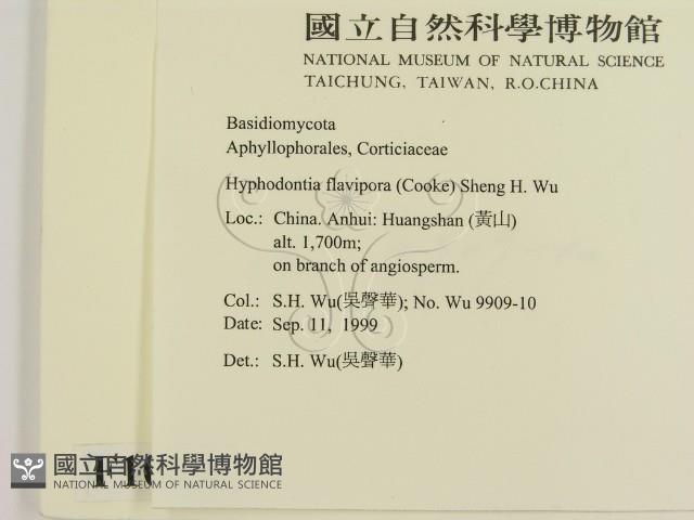 登錄號:F0010435藏品圖，第2張