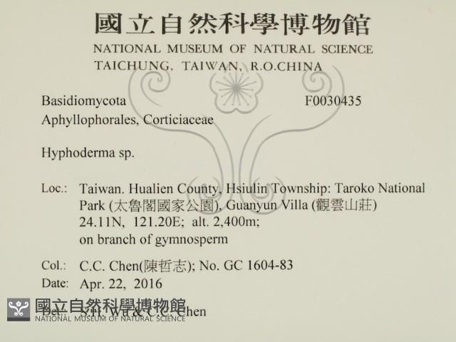 絲皮菌屬藏品圖，第2張