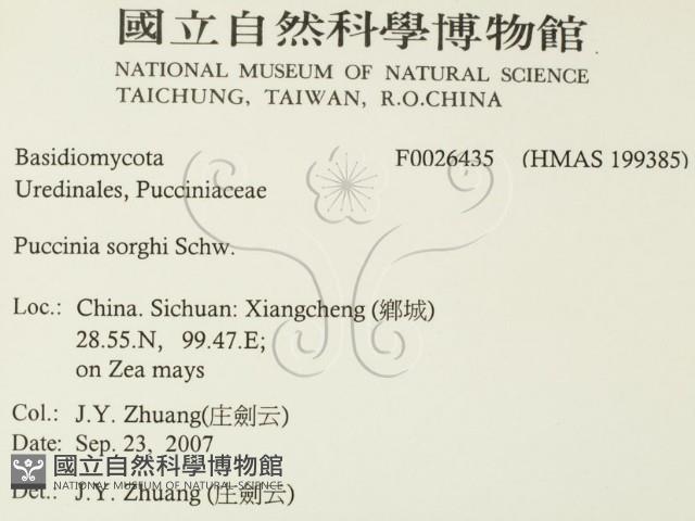 登錄號:F0026435藏品圖，第2張