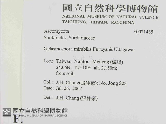 登錄號:F0021435藏品圖，第2張