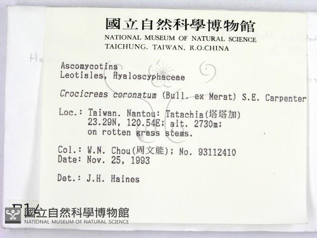 登錄號:F0001435藏品圖，第2張