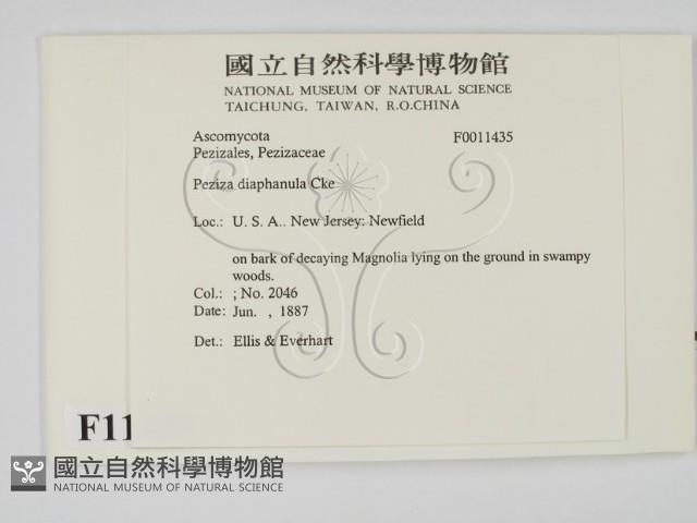 登錄號:F0011435藏品圖，第2張
