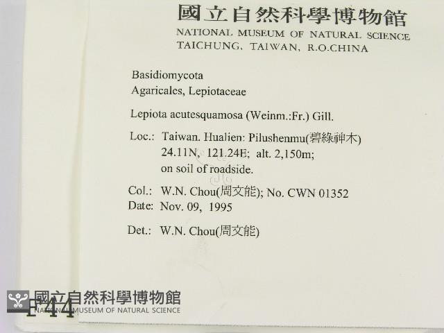 登錄號:F0004435藏品圖，第2張