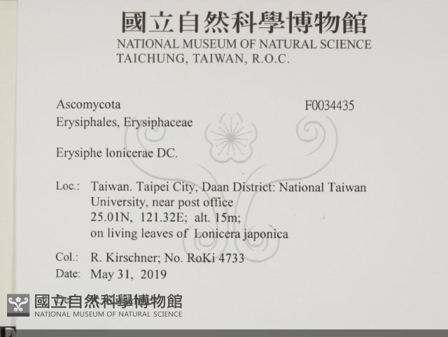 登錄號:F0034435藏品圖，第2張