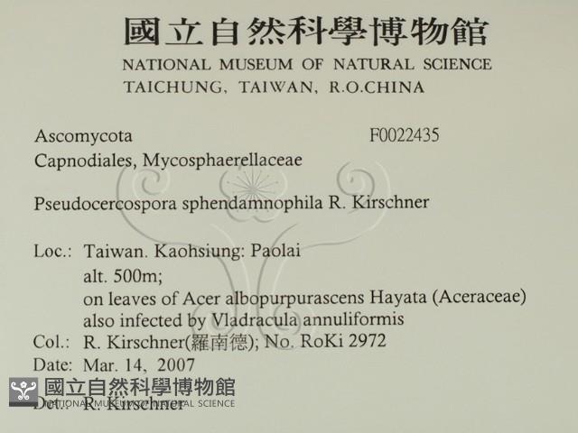 登錄號:F0022435藏品圖，第2張