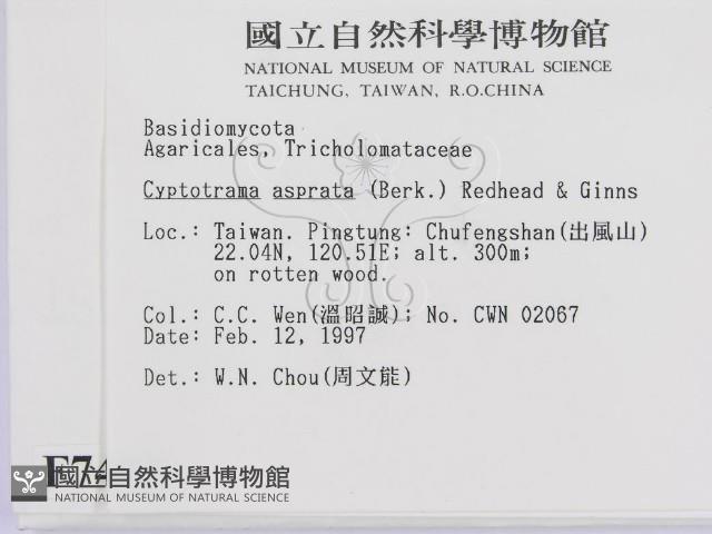 登錄號:F0007435藏品圖，第2張