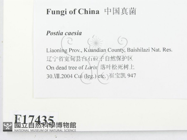 登錄號:F0017435藏品圖，第2張