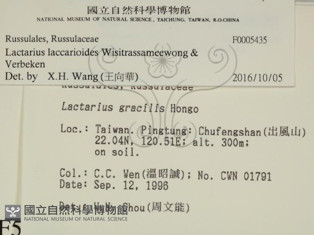 登錄號:F0005435藏品圖，第2張