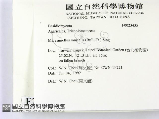 登錄號:F0023435藏品圖，第2張
