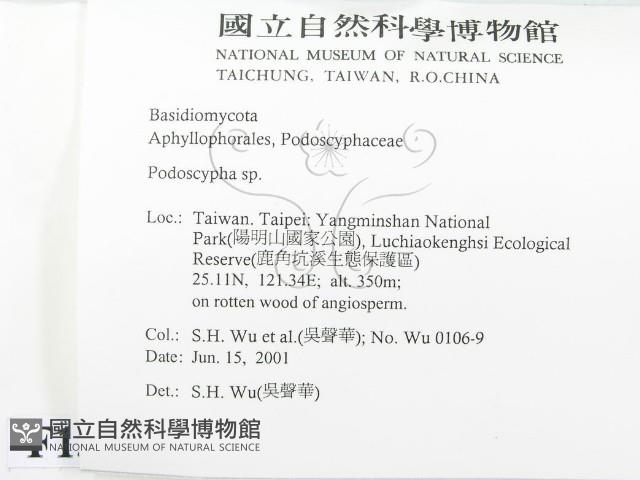 登錄號:F0013435藏品圖，第2張