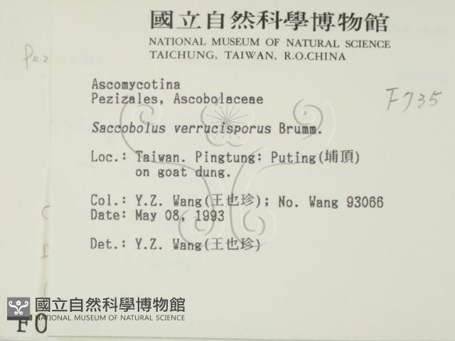 登錄號:F0000735藏品圖，第2張