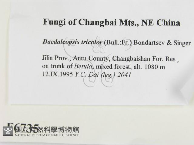 登錄號:F0006735藏品圖，第2張