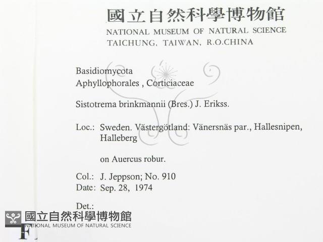 登錄號:F0016735藏品圖，第2張