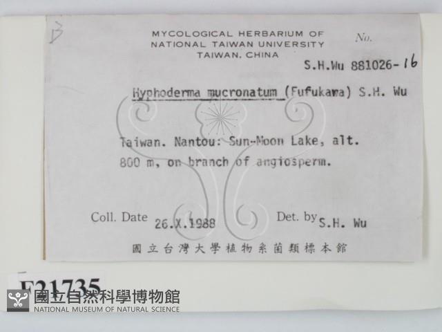 登錄號:F0021735藏品圖，第2張