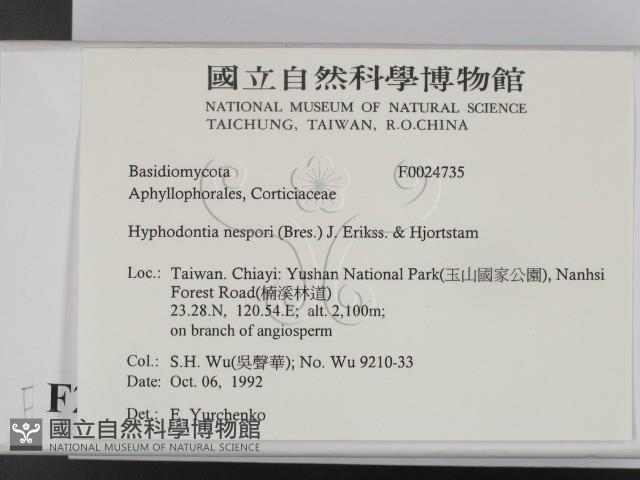 登錄號:F0024735藏品圖，第2張