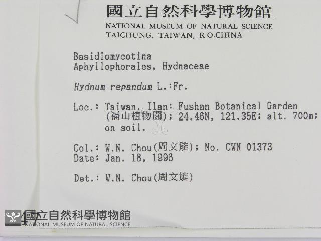 登錄號:F0004735藏品圖，第2張