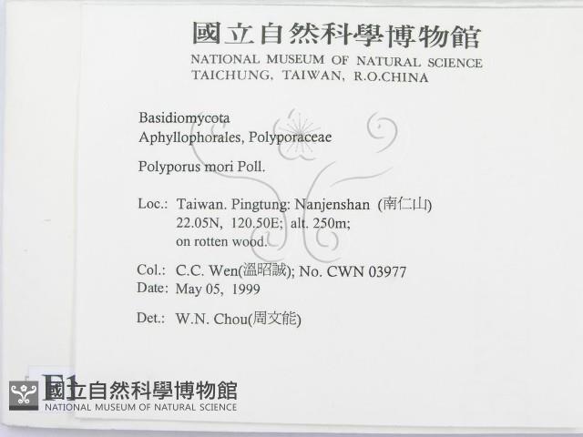 登錄號:F0012735藏品圖，第2張