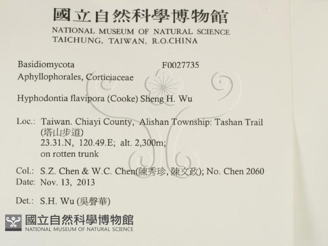 登錄號:F0027735藏品圖，第2張