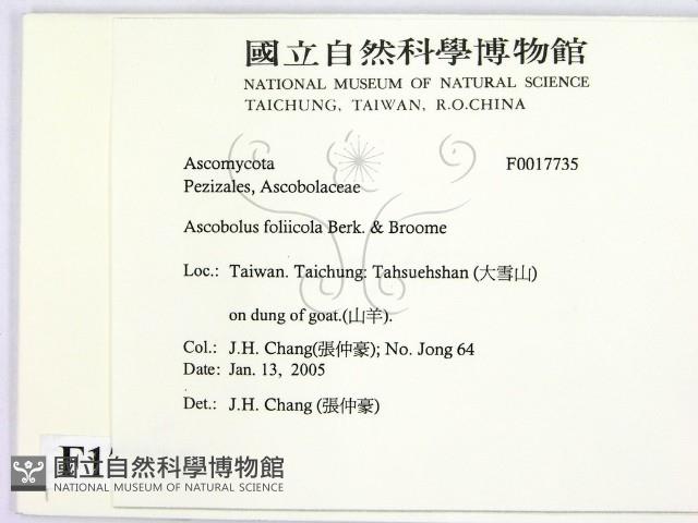 登錄號:F0017735藏品圖，第2張