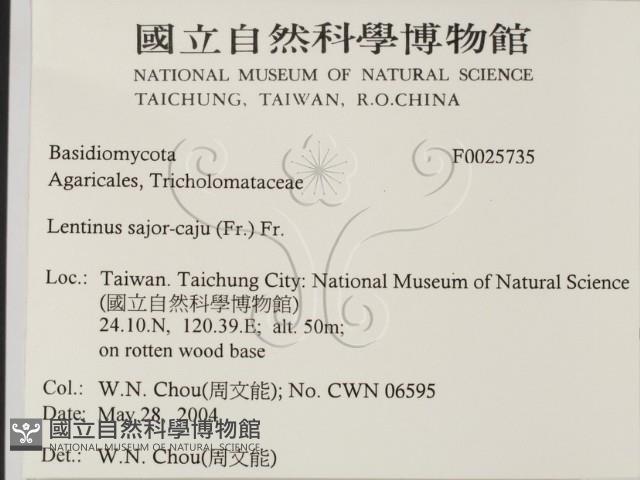 登錄號:F0025735藏品圖，第2張