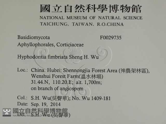 登錄號:F0029735藏品圖，第2張
