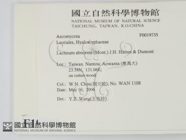 登錄號:F0019735藏品圖，第2張