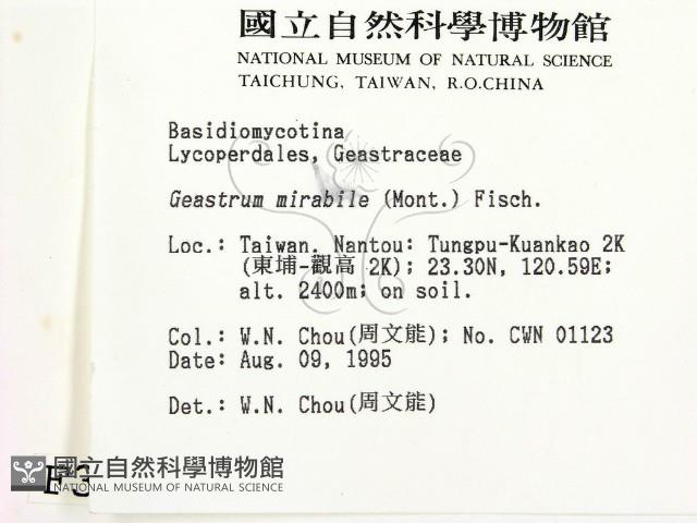 登錄號:F0003735藏品圖，第2張