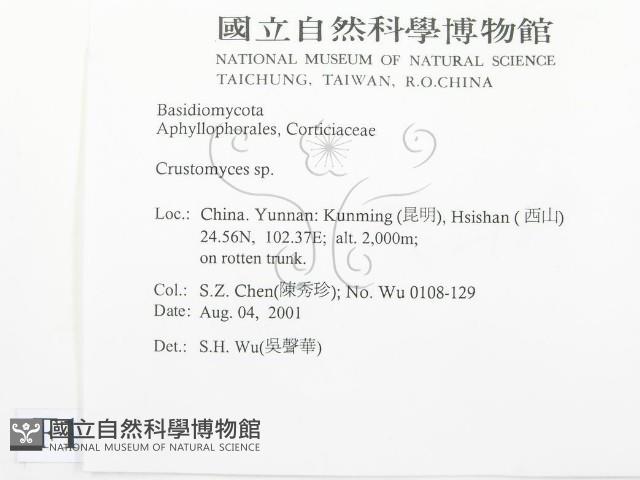 登錄號:F0013735藏品圖，第2張
