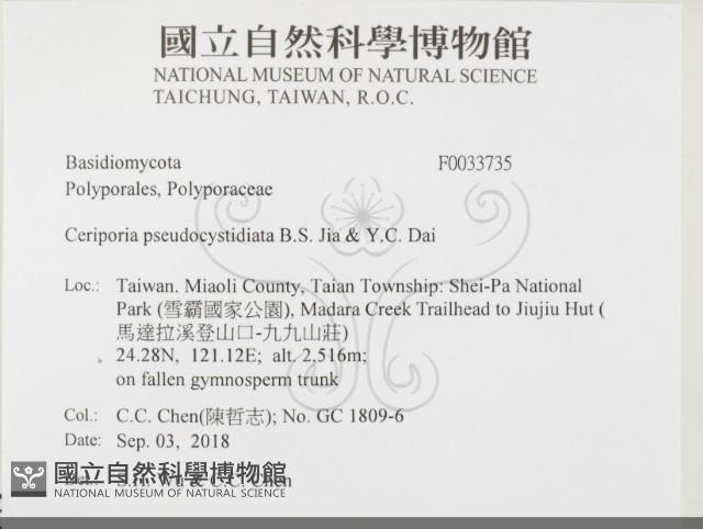 登錄號:F0033735藏品圖，第2張