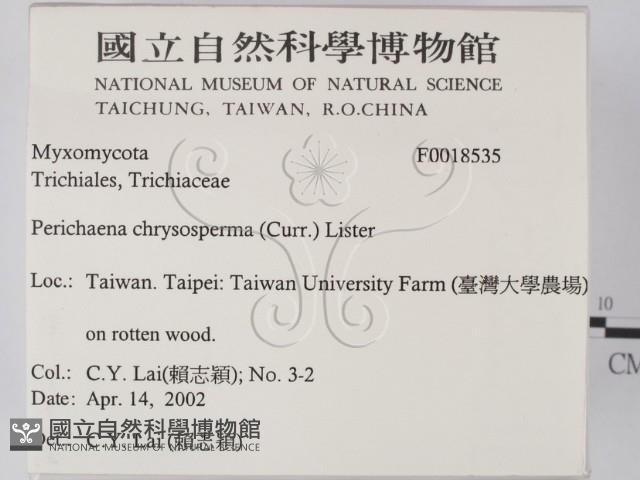 登錄號:F0018535藏品圖，第2張