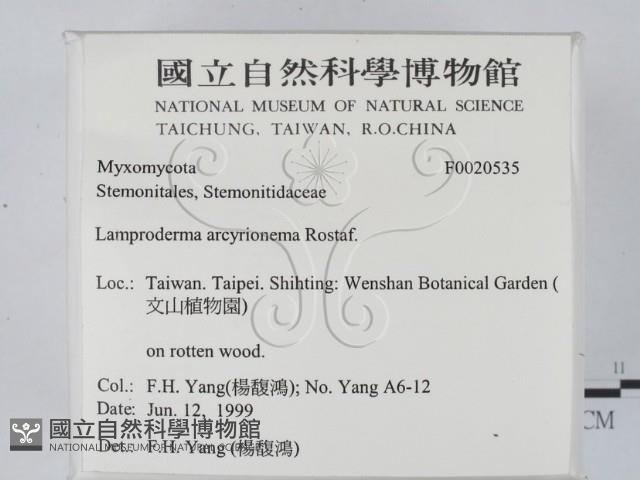 登錄號:F0020535藏品圖，第2張