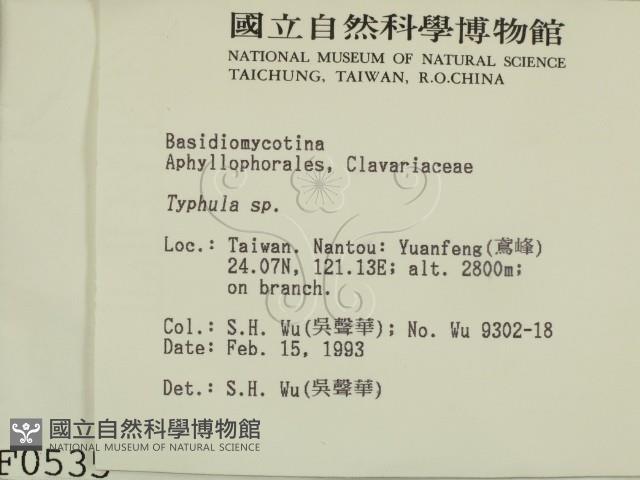 登錄號:F0000535藏品圖，第2張