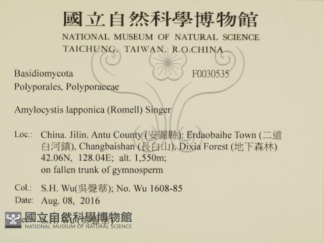 登錄號:F0030535藏品圖，第2張