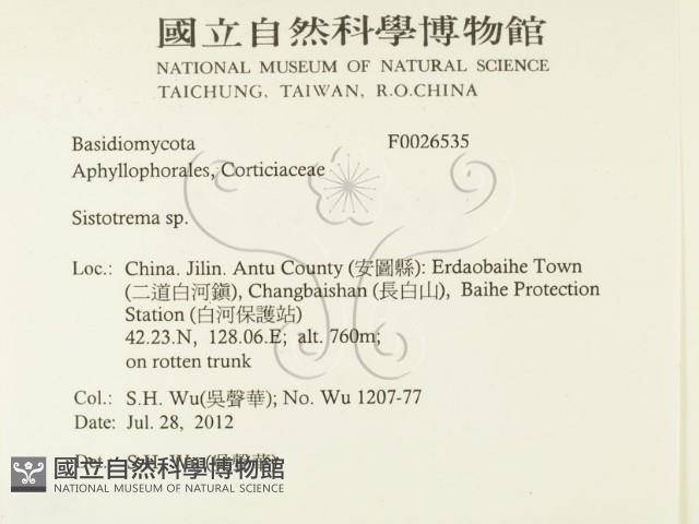 登錄號:F0026535藏品圖，第2張