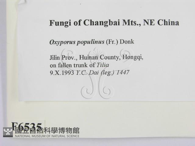 登錄號:F0006535藏品圖，第2張