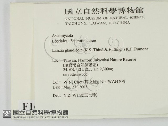 登錄號:F0016535藏品圖，第2張