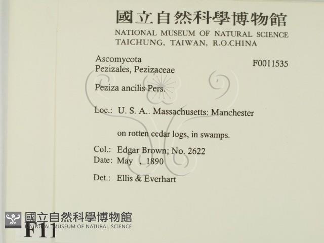 登錄號:F0011535藏品圖，第2張