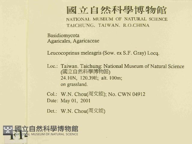 登錄號:F0014535藏品圖，第2張