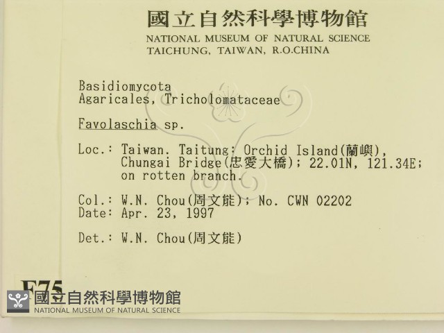 登錄號:F0007535藏品圖，第2張