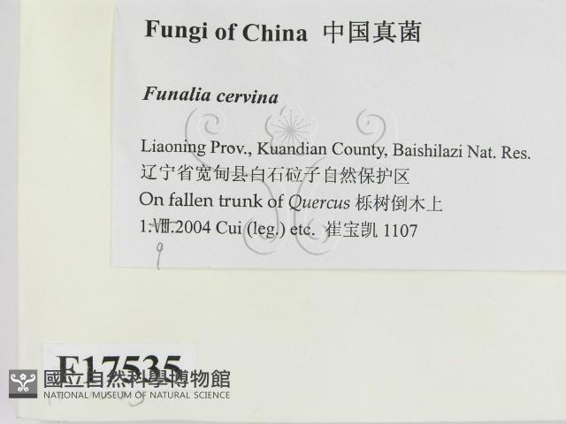 登錄號:F0017535藏品圖，第2張