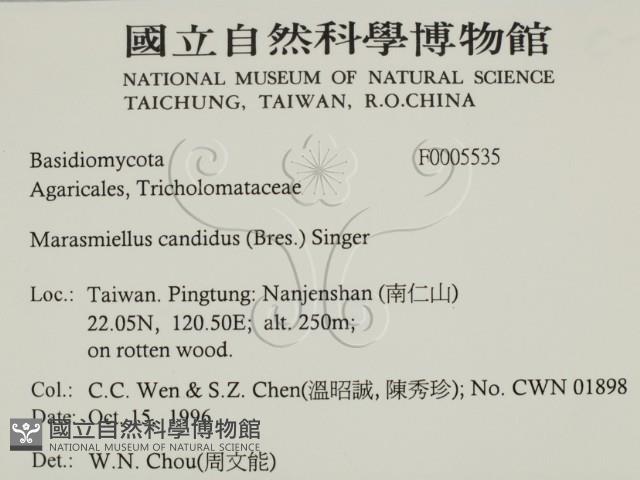 登錄號:F0005535藏品圖，第2張