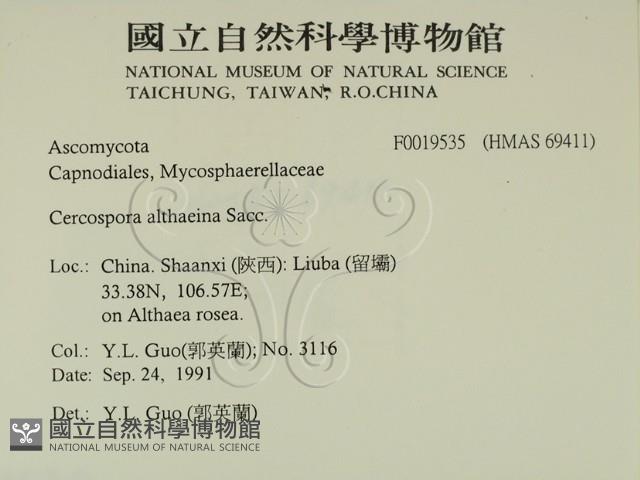 登錄號:F0019535藏品圖，第2張