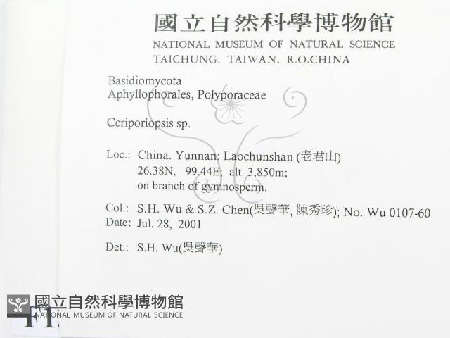 登錄號:F0013535藏品圖，第2張