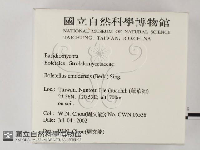 登錄號:F0016135藏品圖，第2張
