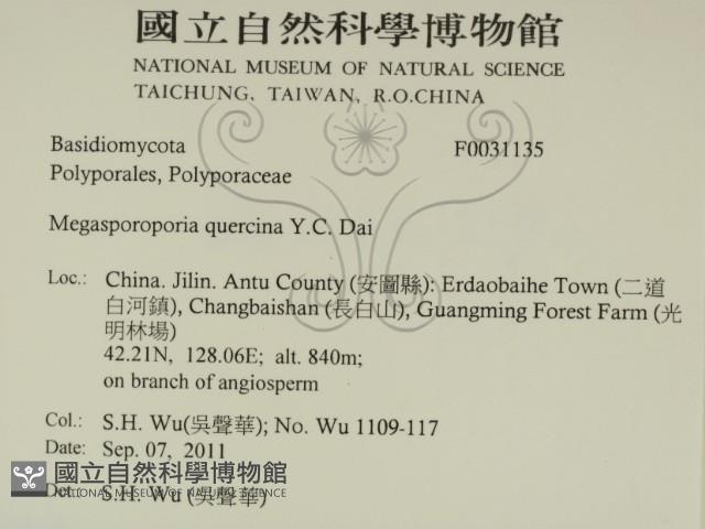 登錄號:F0031135藏品圖，第2張