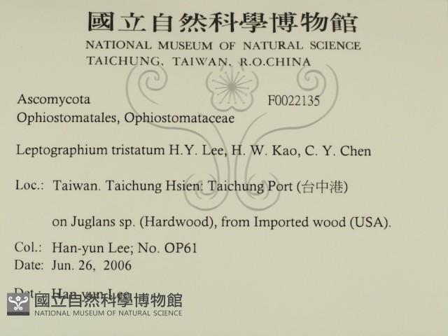 登錄號:F0022135藏品圖，第2張