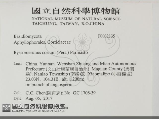 登錄號:F0032135藏品圖，第2張